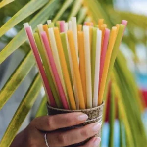 Ống hút gạo ăn được - Flour Straws