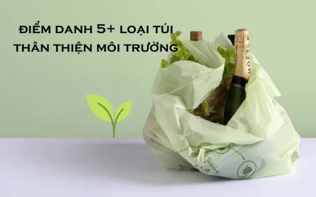 Điểm danh 5 loại túi thân thiện môi trường thay thế túi nhựa