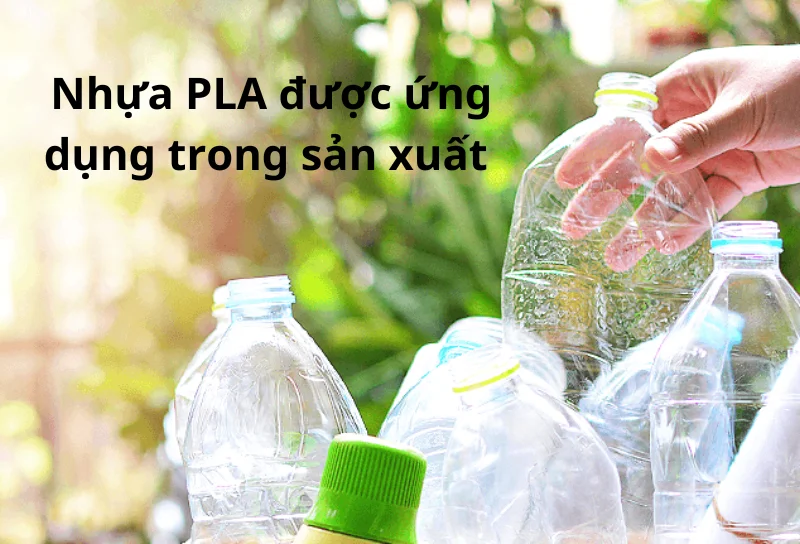 Nhựa phân hủy sinh học là gì? 5 điều bạn cần biết về nhựa PLA