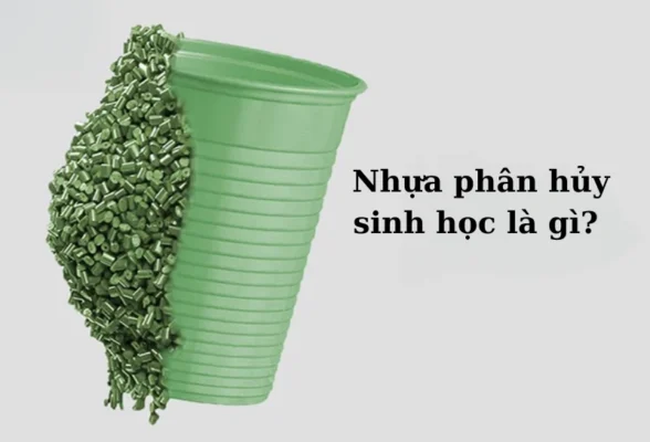 Nhựa phân hủy sinh học là gì? 5 điều bạn cần biết về nhựa PLA